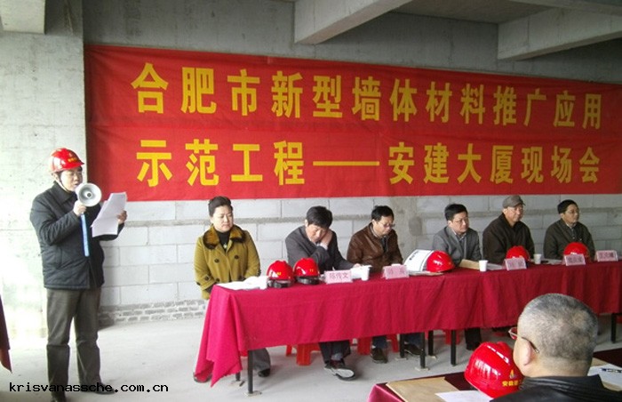 合肥市召開新型(xíng)牆體(tǐ)材(cái)料推廣應用大會